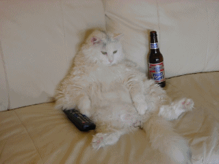 chat alcolique